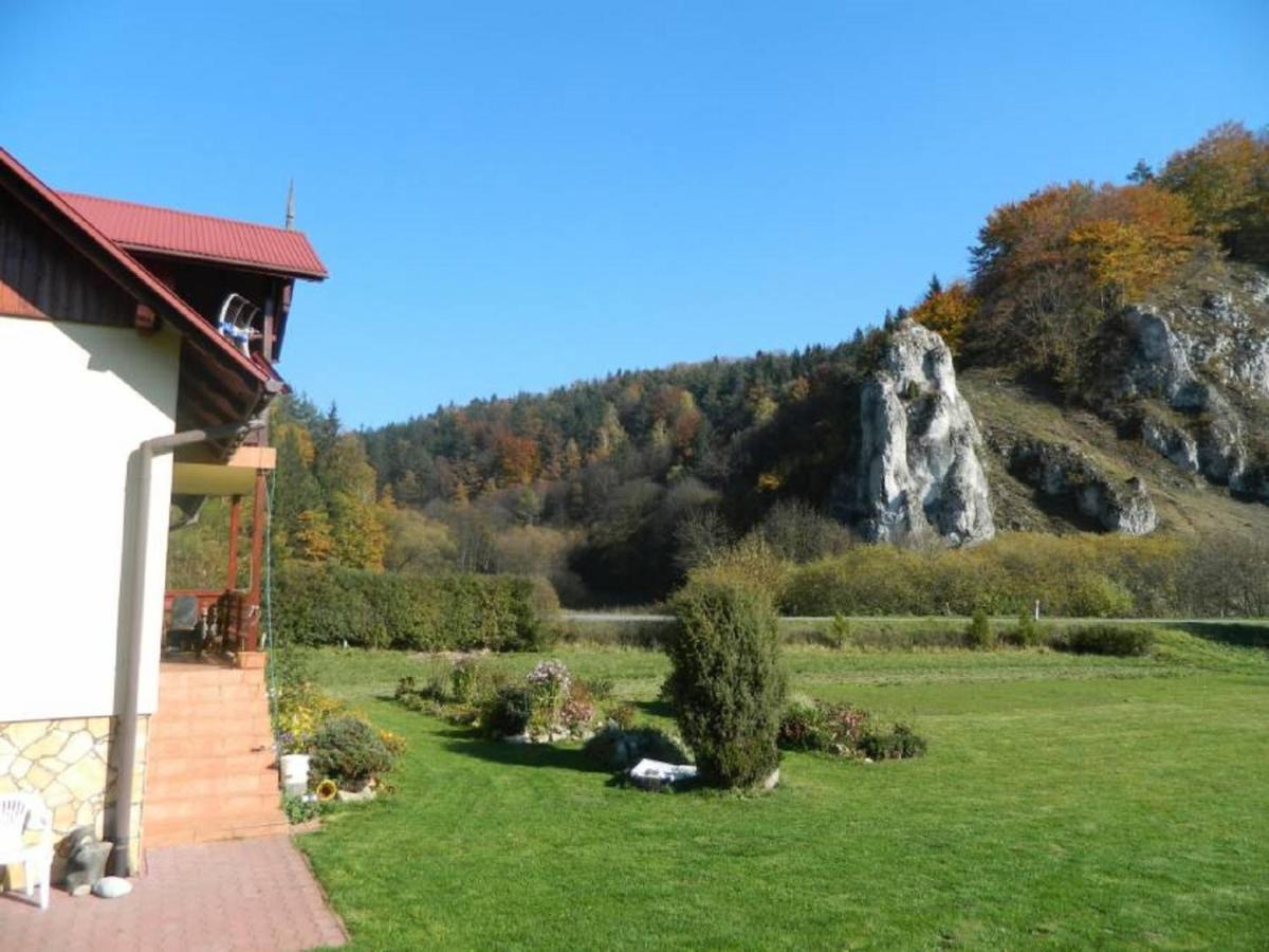 Gospodarstwo Agroturystyczne Dolina Zachwytu Suloszowa 外观 照片